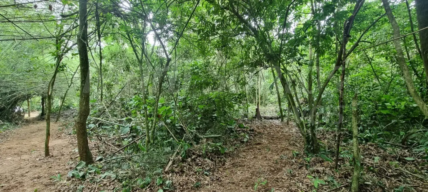 Foto 9 de Terreno / Lote à venda, 1175m2 em Ilhabela - SP