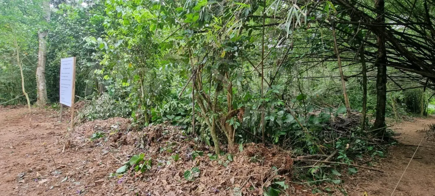 Foto 4 de Terreno / Lote à venda, 1175m2 em Ilhabela - SP