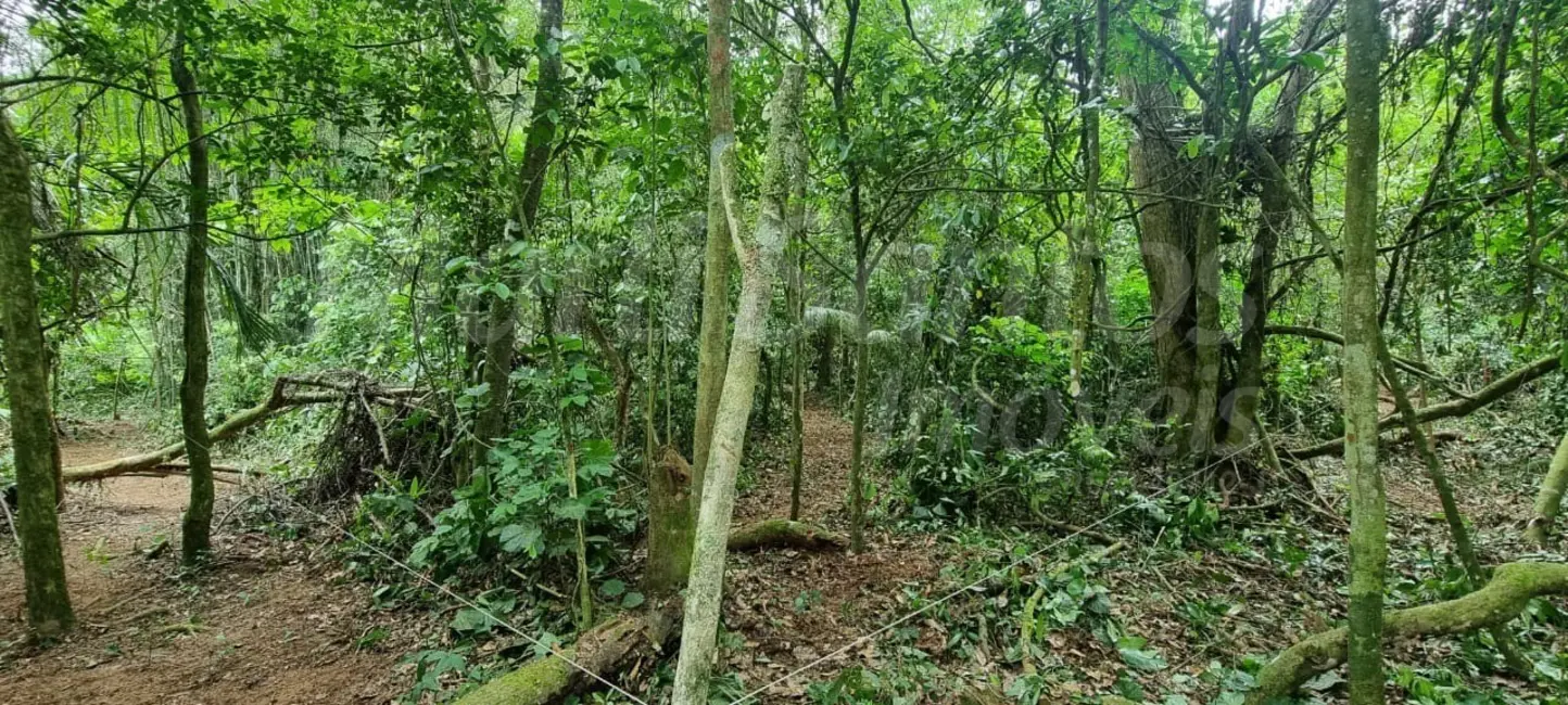 Foto 7 de Terreno / Lote à venda, 1175m2 em Ilhabela - SP
