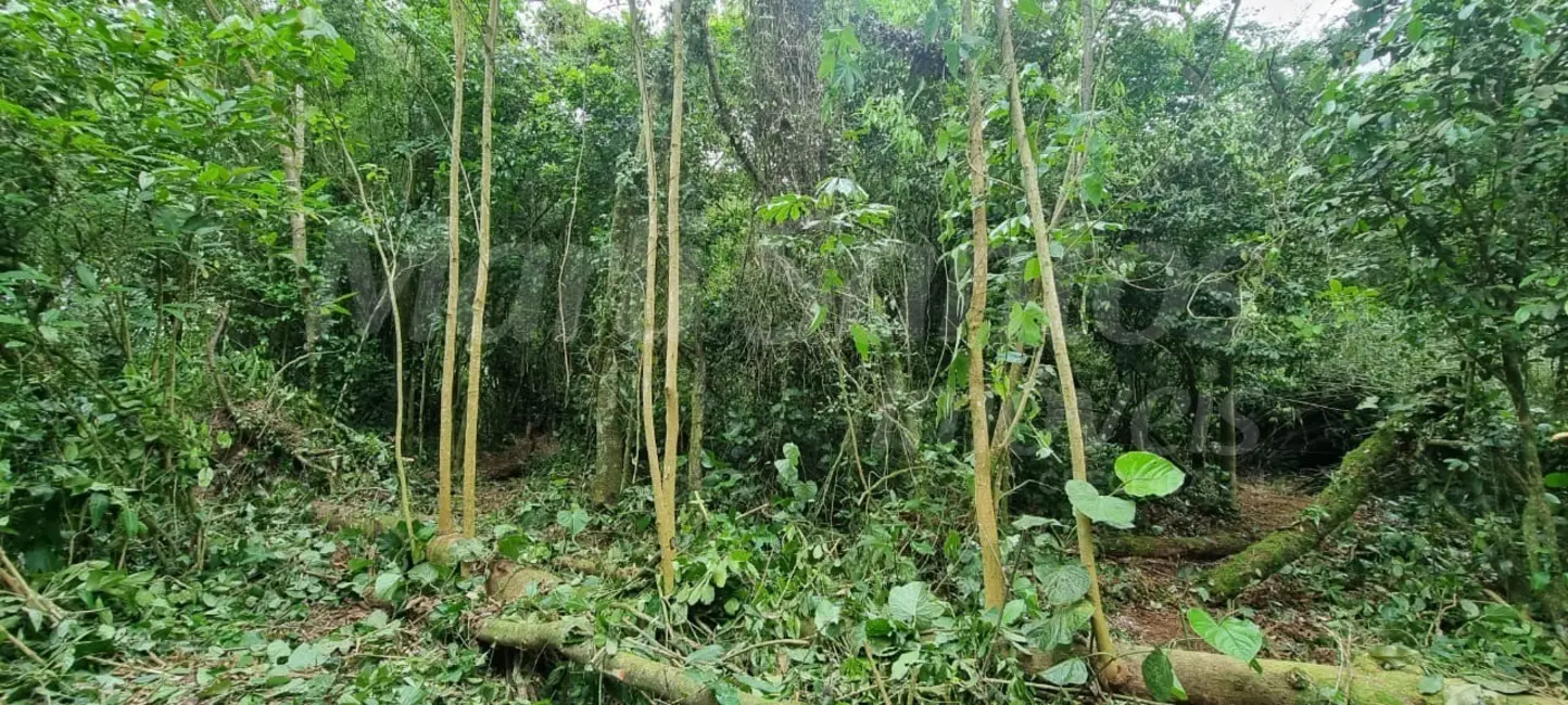 Foto 6 de Terreno / Lote à venda, 1175m2 em Ilhabela - SP