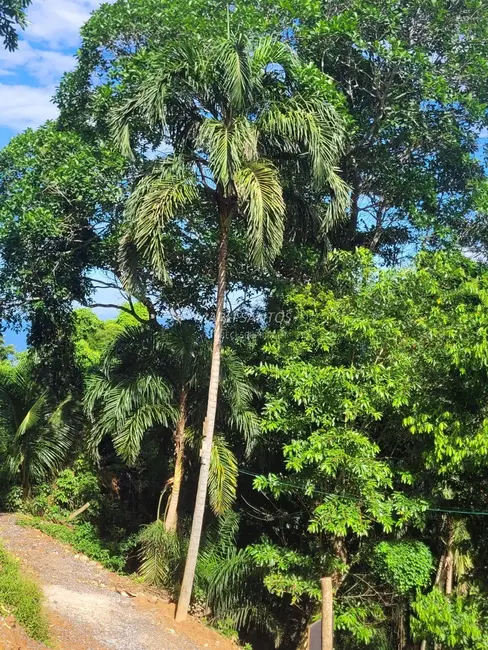 Foto 1 de Terreno / Lote à venda, 630m2 em Ilhabela - SP