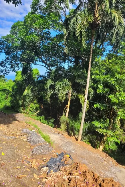 Foto 4 de Terreno / Lote à venda, 630m2 em Ilhabela - SP