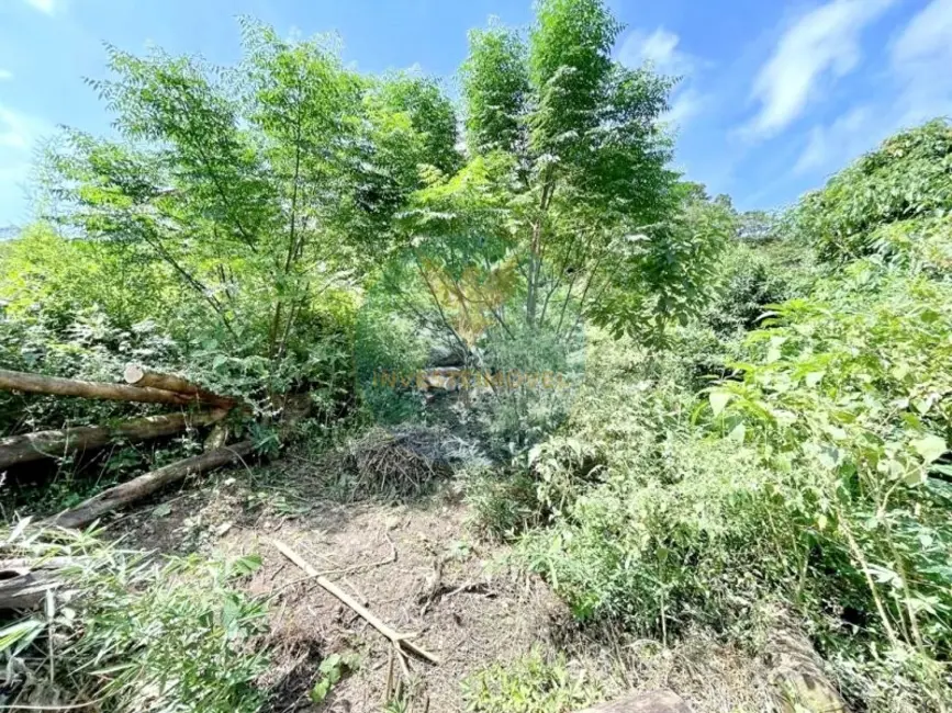 Foto 6 de Terreno / Lote à venda, 907m2 em Granja Viana, Cotia - SP