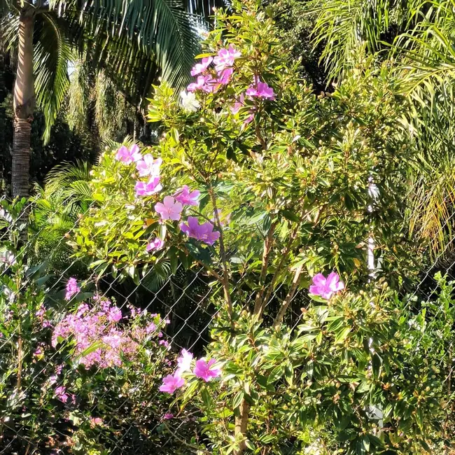 Foto 9 de Terreno / Lote à venda, 502m2 em Granja Viana, Cotia - SP
