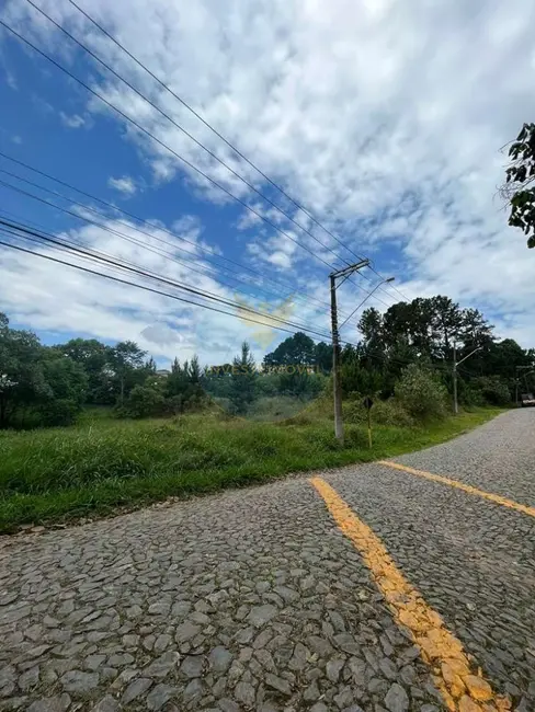 Terreno / Lote à venda, 4973m2 em Granja Viana, Cotia - SP - imagem 6 Foto 6 de Terreno / Lote à venda, 4973m2 em Granja Viana, Cotia - SP