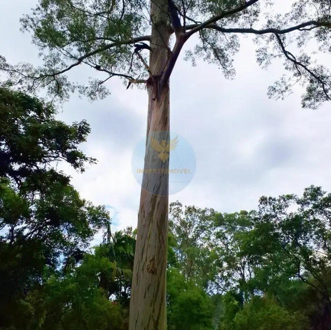 Foto 6 de Casa de Condomínio com 3 quartos à venda, 500m2 em Embu Das Artes - SP