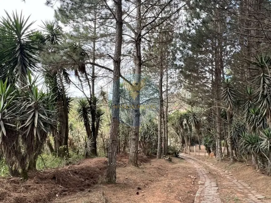 Terreno / Lote à venda, 18455m2 em Granja Viana, Cotia - SP - imagem 6 Foto 6 de Terreno / Lote à venda, 18455m2 em Granja Viana, Cotia - SP