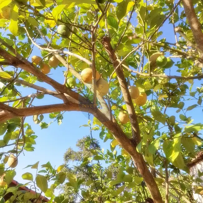 Foto 8 de Casa de Condomínio com 4 quartos à venda, 346m2 em Granja Viana, Carapicuiba - SP