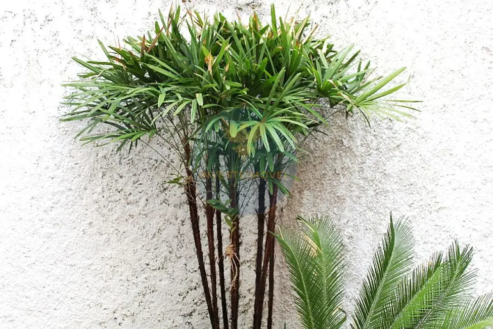 Foto 9 de Casa com 2 quartos à venda, 118m2 em Demarchi, Sao Bernardo Do Campo - SP