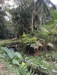 Imagem 6