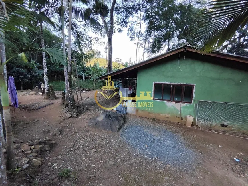 Foto 4 de Chácara com 2 quartos à venda, 300m2 em Luiz Alves - SC
