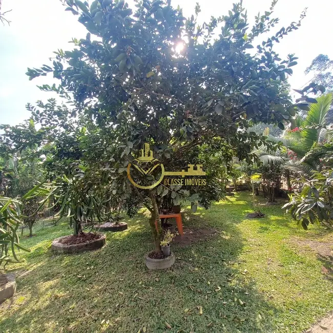 Foto 9 de Chácara com 2 quartos à venda, 2000m2 em Sao Joao Do Itaperiu - SC