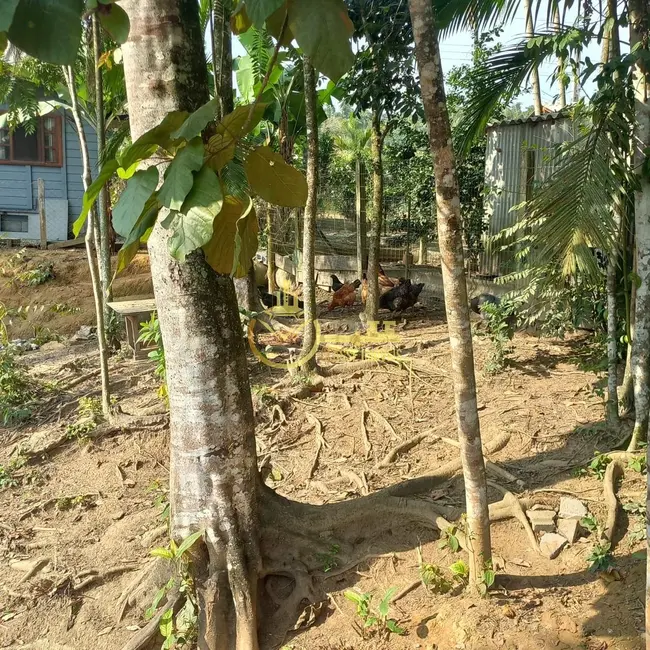 Foto 4 de Chácara com 2 quartos à venda, 2000m2 em Sao Joao Do Itaperiu - SC