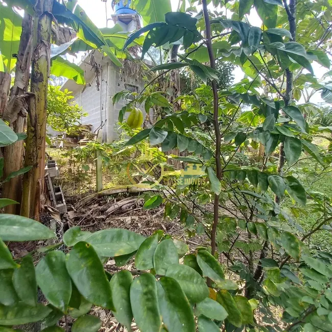 Foto 6 de Chácara com 2 quartos à venda, 2000m2 em Sao Joao Do Itaperiu - SC