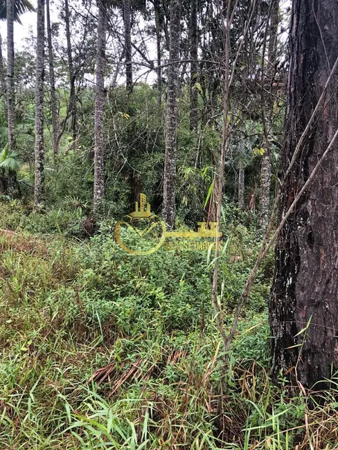 Foto 3 de Terreno / Lote à venda, 15000m2 em Escalvados, Navegantes - SC