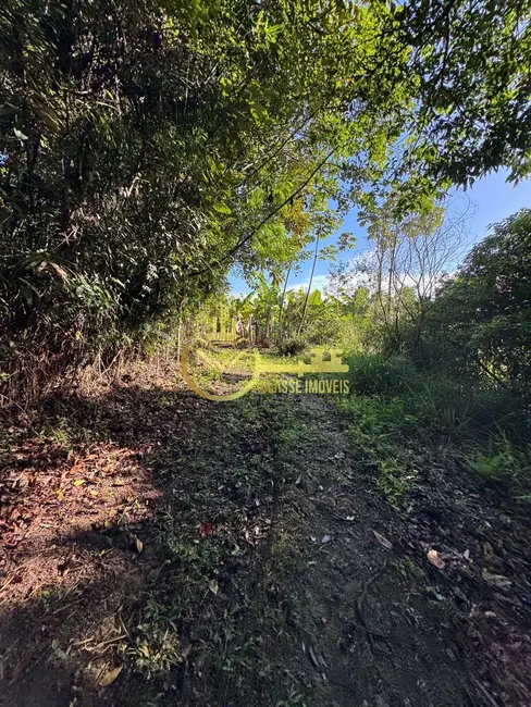 Foto 3 de Terreno / Lote à venda, 60000m2 em Balneario Picarras - SC