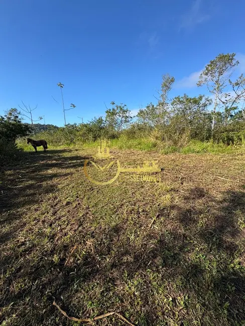 Foto 7 de Terreno / Lote à venda, 60000m2 em Balneario Picarras - SC