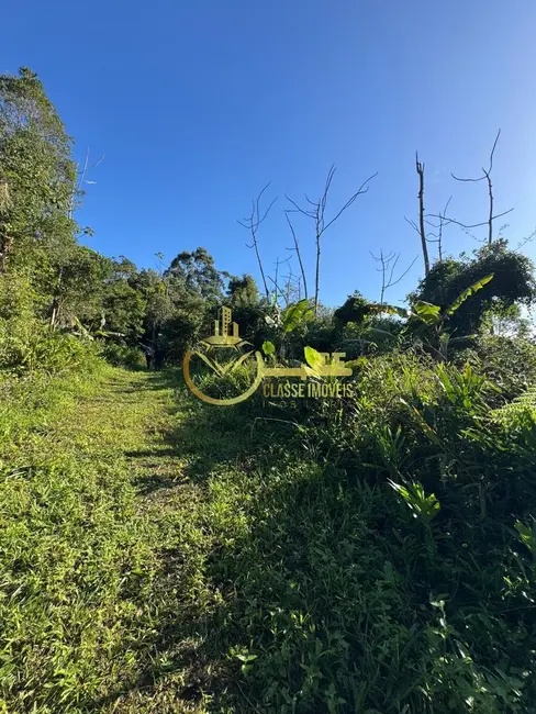 Foto 4 de Terreno / Lote à venda, 60000m2 em Balneario Picarras - SC