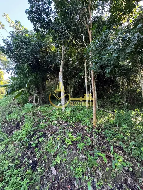 Foto 5 de Terreno / Lote à venda, 60000m2 em Balneario Picarras - SC