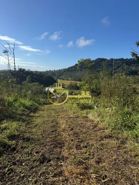 Foto 8 de Terreno / Lote à venda, 60000m2 em Balneario Picarras - SC