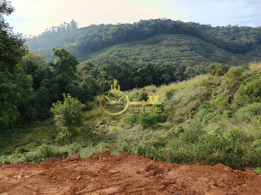 Foto 4 de Terreno / Lote à venda, 1000m2 em Luiz Alves - SC