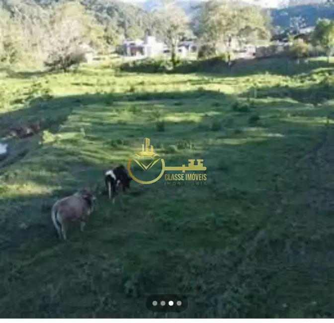 Foto 4 de Terreno / Lote à venda, 7000m2 em Luiz Alves - SC
