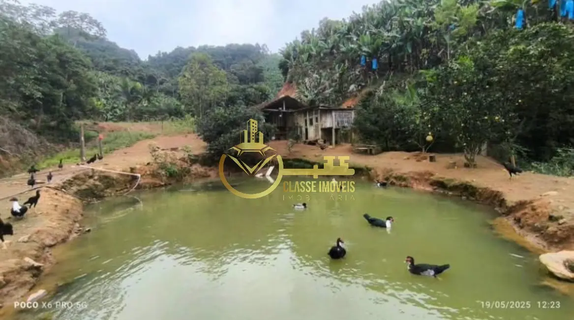 Foto 3 de Terreno / Lote à venda, 2000m2 em Luiz Alves - SC