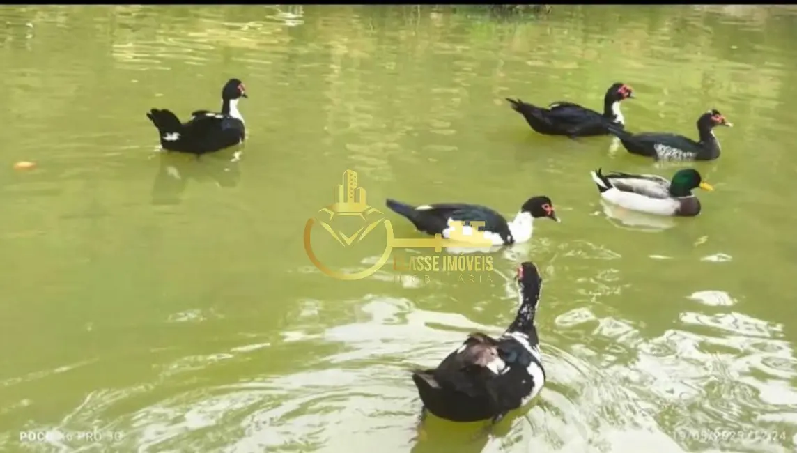 Foto 4 de Terreno / Lote à venda, 2000m2 em Luiz Alves - SC