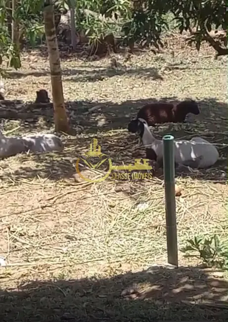 Sítio / Rancho à venda, 5000m2 em Vila Itoupava, Blumenau - SC - imagem 3 Foto 3 de Sítio / Rancho à venda, 5000m2 em Vila Itoupava, Blumenau - SC