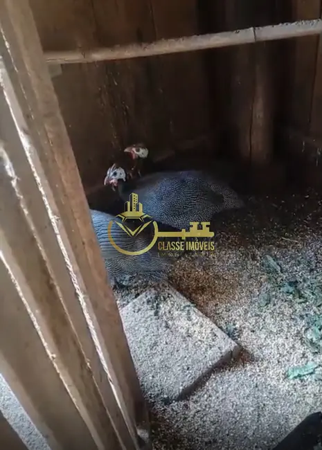 Sítio / Rancho à venda, 5000m2 em Vila Itoupava, Blumenau - SC - imagem 7 Foto 7 de Sítio / Rancho à venda, 5000m2 em Vila Itoupava, Blumenau - SC