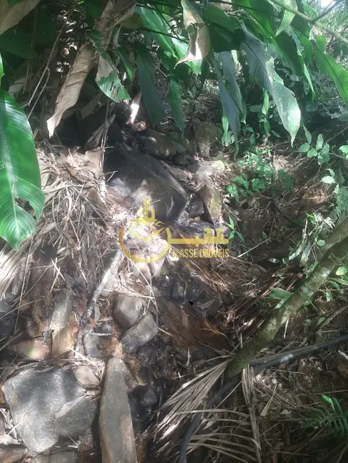 Foto 5 de Terreno / Lote à venda, 7000m2 em Luiz Alves - SC