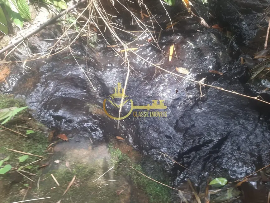 Foto 6 de Terreno / Lote à venda, 7000m2 em Luiz Alves - SC