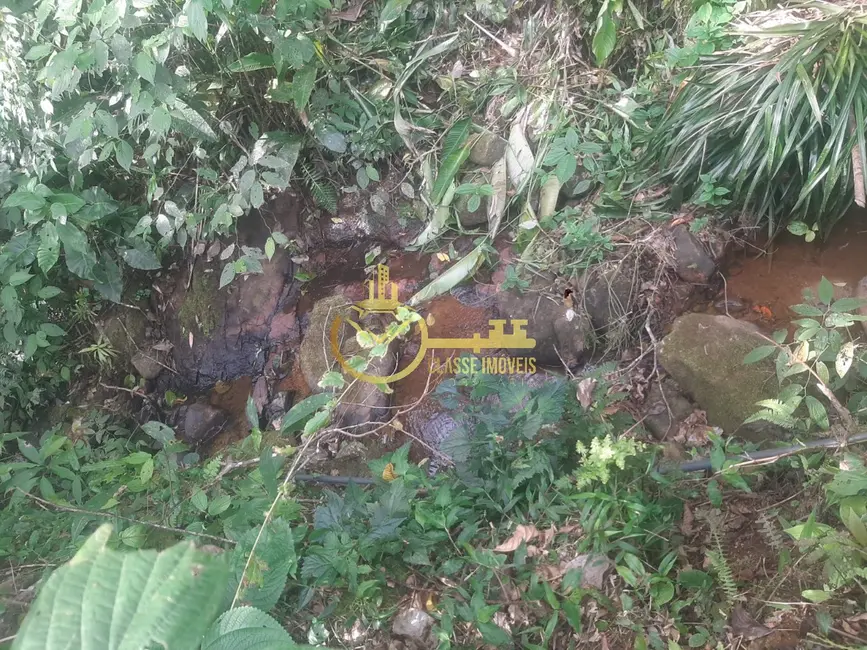 Foto 4 de Terreno / Lote à venda, 7000m2 em Luiz Alves - SC