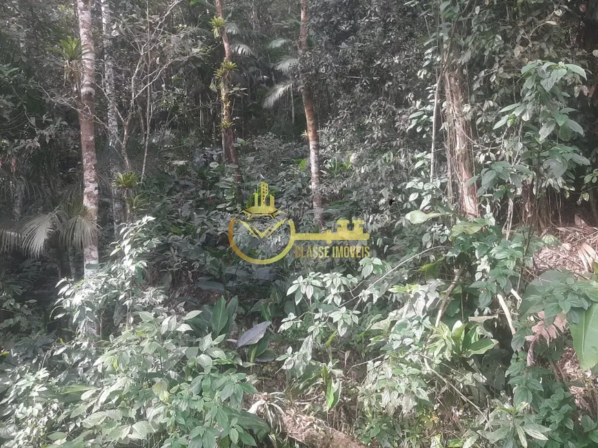 Foto 8 de Terreno / Lote à venda, 7000m2 em Luiz Alves - SC