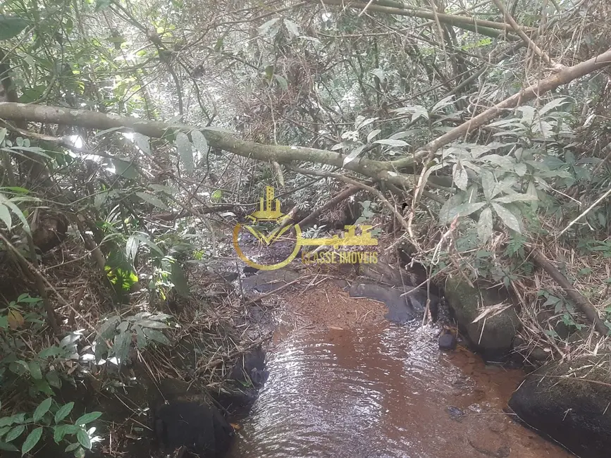 Foto 9 de Terreno / Lote à venda, 7000m2 em Luiz Alves - SC
