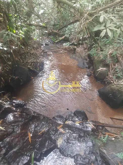Foto 7 de Terreno / Lote à venda, 7000m2 em Luiz Alves - SC