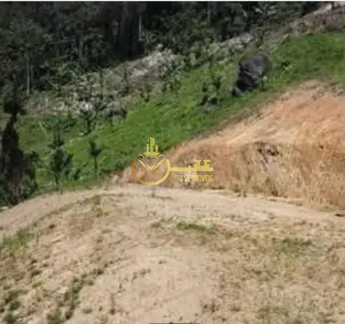 Foto 4 de Terreno / Lote à venda, 20000m2 em Massaranduba - SC