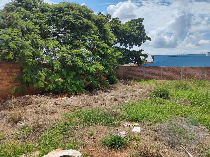 Foto 2 de Terreno / Lote à venda, 128m2 em Sao Manuel - SP