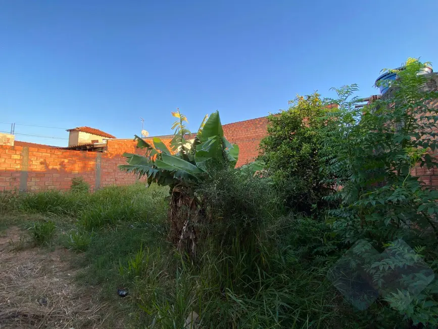 Foto 8 de Casa com 2 quartos à venda em Chácara Recreio do Havaí, Botucatu - SP
