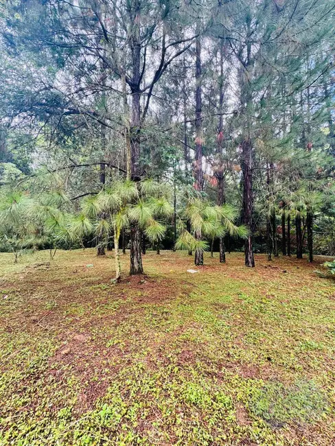 Foto 3 de Terreno / Lote à venda, 1610m2 em Vale do Sol, Botucatu - SP