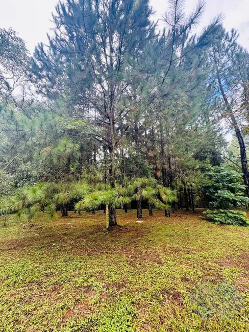 Foto 2 de Terreno / Lote à venda, 1610m2 em Vale do Sol, Botucatu - SP