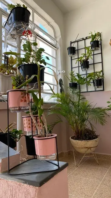 Casa com 3 quartos à venda, 100m2 em Vila Santa Rita, Sorocaba - SP - imagem 6 Foto 6 de Casa com 3 quartos à venda, 100m2 em Vila Santa Rita, Sorocaba - SP