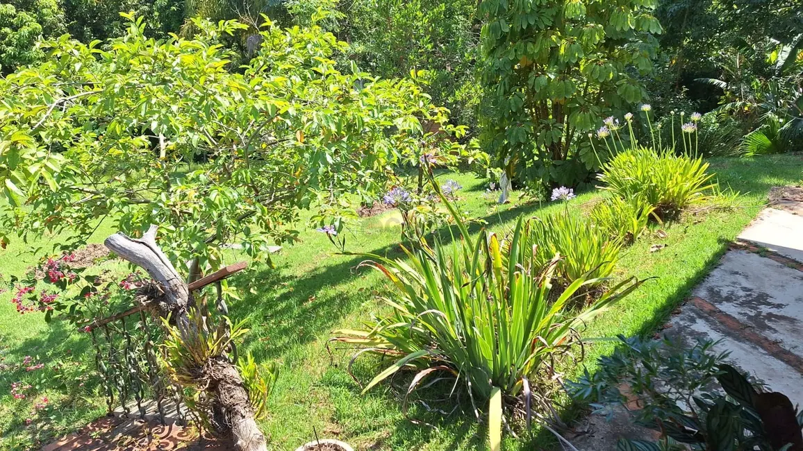 Foto 6 de Chácara com 2 quartos para alugar, 100m2 em Brigadeiro Tobias, Sorocaba - SP