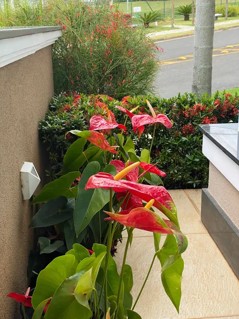 Casa de Condomínio com 3 quartos à venda, 206m2 em Vila Haro, Sorocaba - SP - imagem 5 Foto 5 de Casa de Condomínio com 3 quartos à venda, 206m2 em Vila Haro, Sorocaba - SP