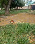 Imagem 14
