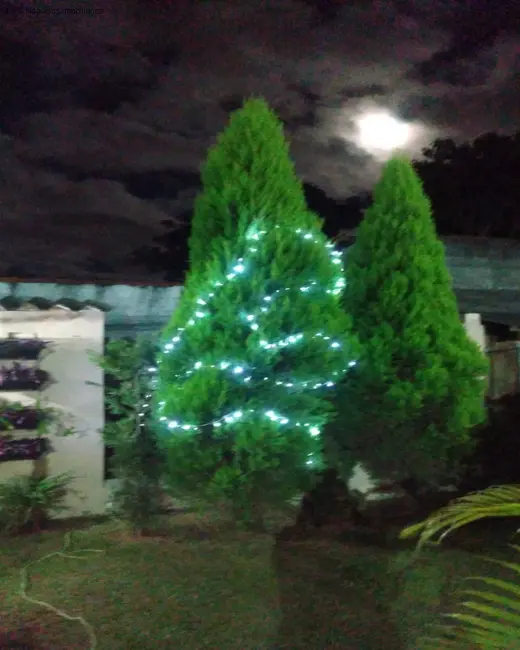 Foto 3 de Chácara com 4 quartos à venda, 265m2 em Aracoiaba Da Serra - SP