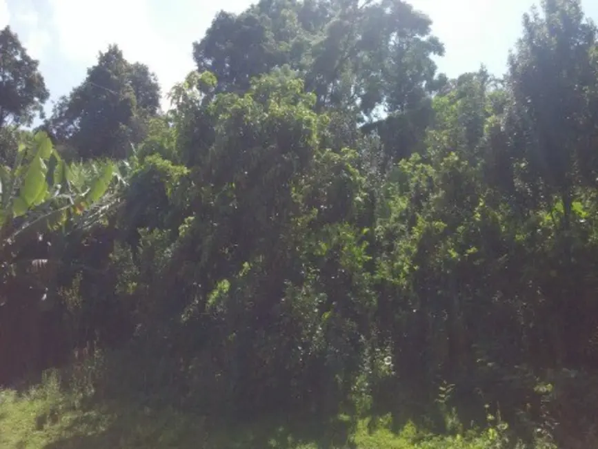 Foto 4 de Terreno / Lote à venda, 2774m2 em Jardim das Estrelas, Sorocaba - SP