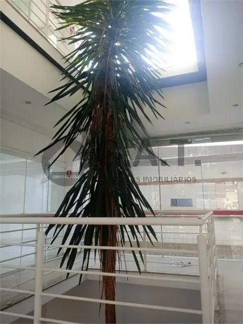 Sala Comercial para alugar, 610m2 em Jardim Europa, Sorocaba - SP - imagem 5 Foto 5 de Sala Comercial para alugar, 610m2 em Jardim Europa, Sorocaba - SP