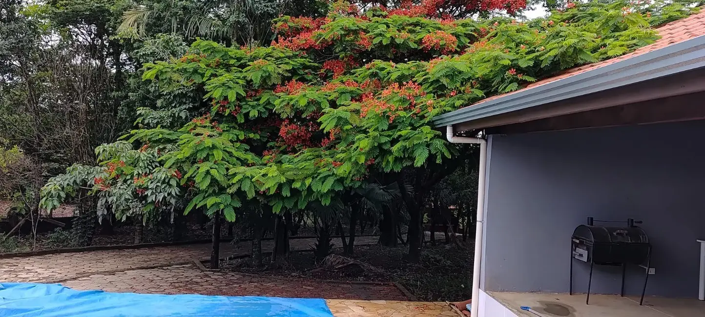 Foto 5 de Chácara com 3 quartos à venda, 350m2 em Ipero - SP