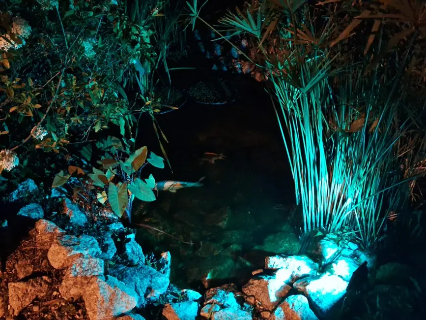 Foto 7 de Casa de Condomínio com 5 quartos à venda, 204m2 em Aracoiaba Da Serra - SP